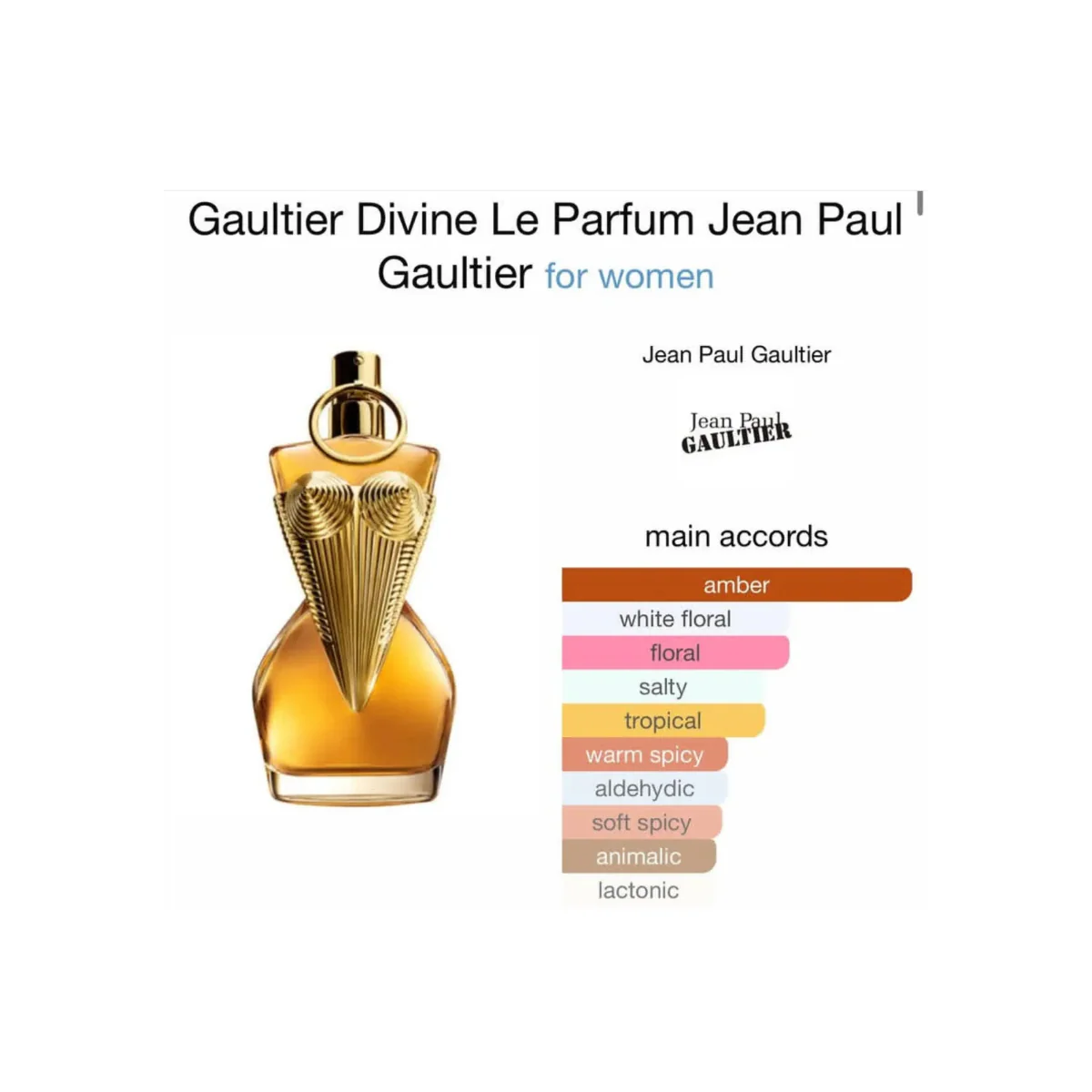 Jean Paul Gaultier Divine Le Parfum | Women's Fragrance | PERVARA