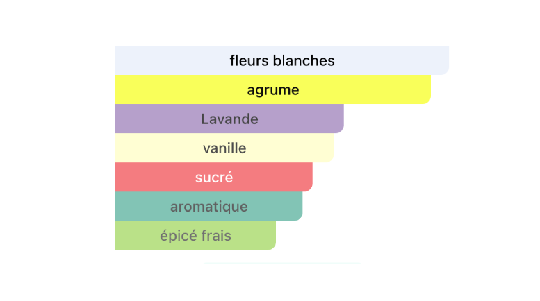 Yves Saint Laurent Libre Eau de Parfum – Collector Edition Dress Me Wild – Femme