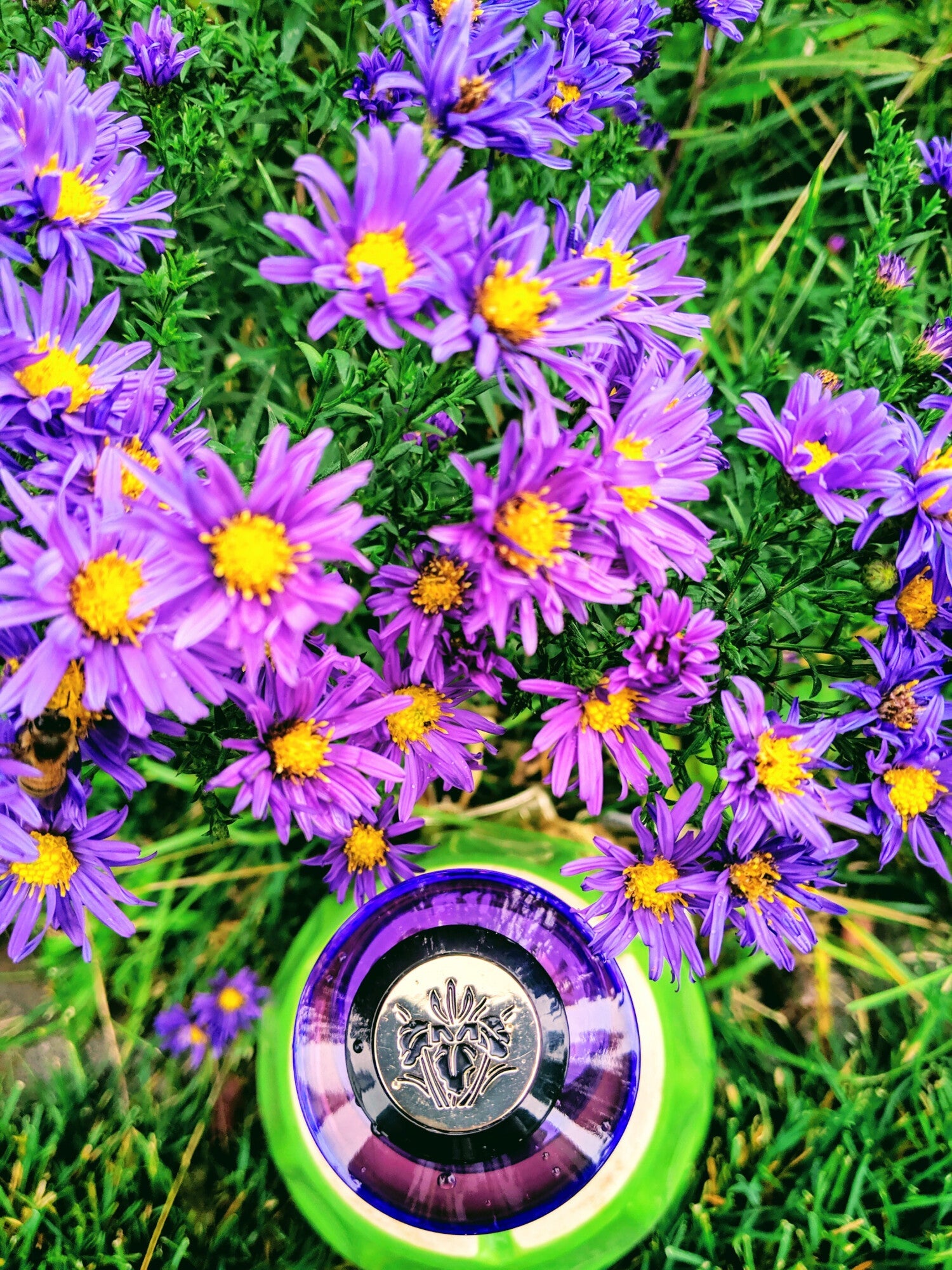 Mancera Purple Flowers Eau de Parfum – Femme
